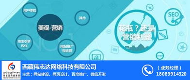 電子商務時代下拉薩網站建設的重要性——以偉志達網絡為例