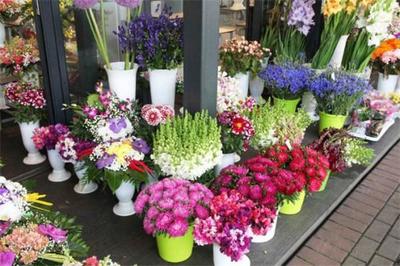 花滿堂花店加盟 把握商機(jī)，共創(chuàng)繁花似錦的創(chuàng)業(yè)之路