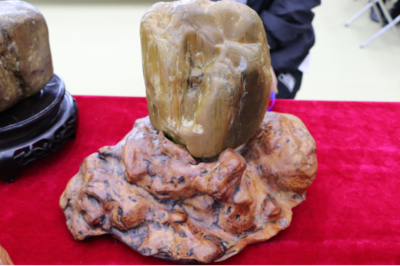 石韻煤魂，魅力海倫——首屆奇石文化旅游節盛大開幕，焦炭產業與文化盛宴交相輝映