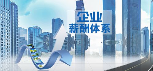 薪酬設(shè)計(jì)與績(jī)效考核 企業(yè)騰飛的雙翼制勝法則